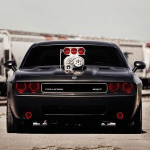 Meet your Posher, Noah